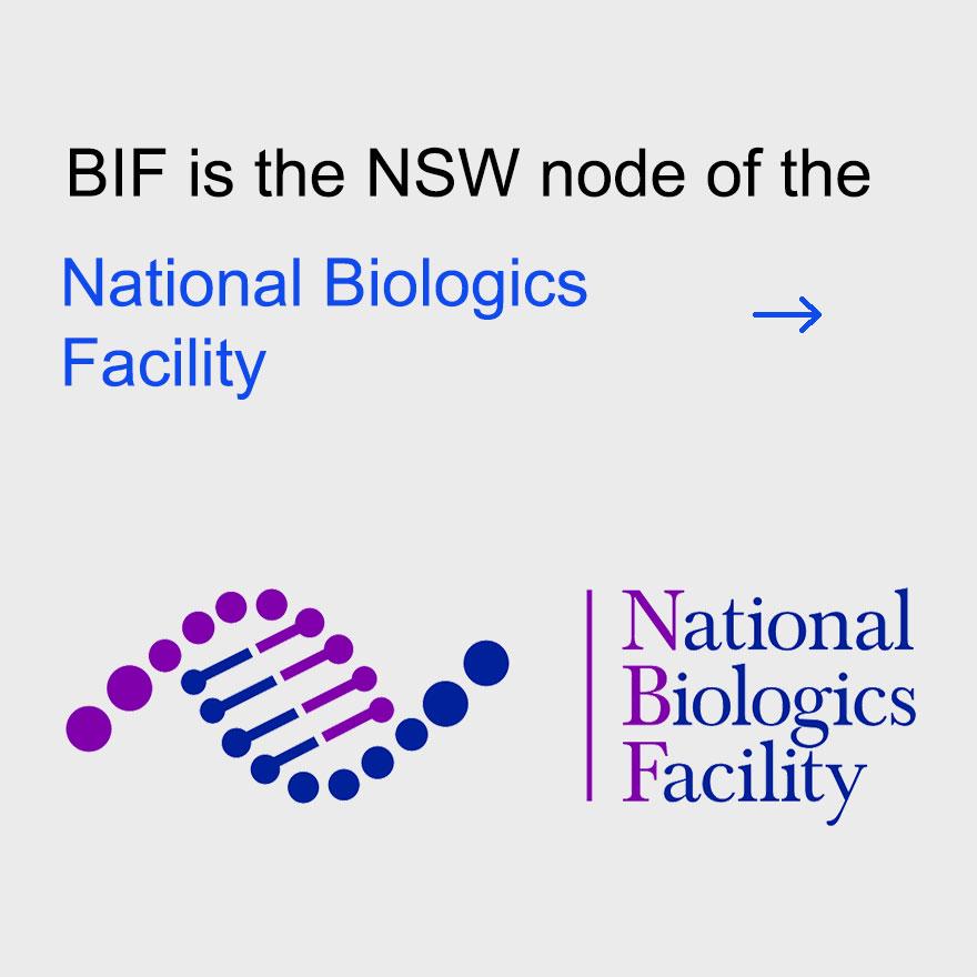 Bif is the NSW node of the National Biologics Facility