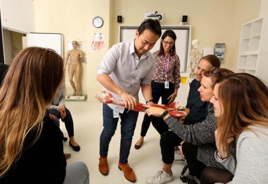 Physiotherapy students examining anatomical model of a forearm