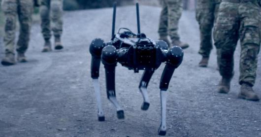 A robotic dog walks down a dusty path surrounded by people wearing military uniforms.
