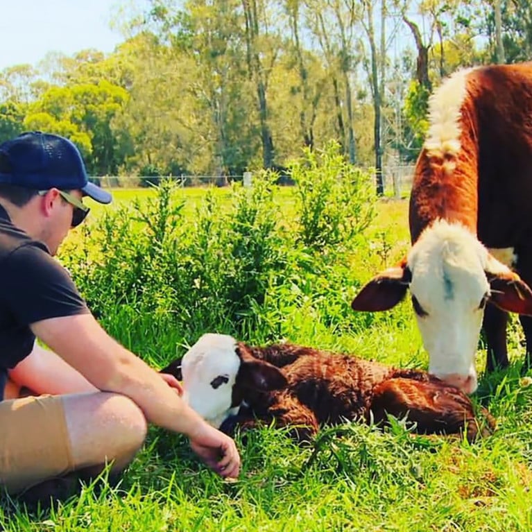 Joshua Gilbert with a cow and calf. Author provided