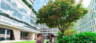 Photo of UTS Alumni Green with tree