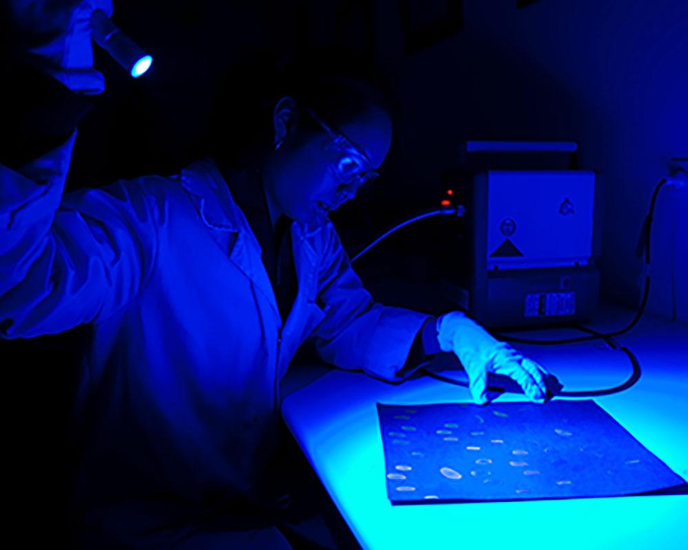 Forensic science using polilight