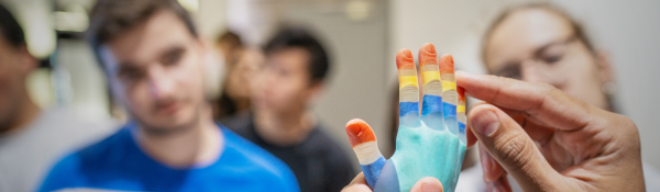 Visitors looking at coloured 3D printed hand sample