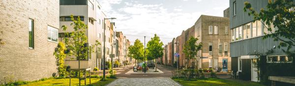 Modern housing street, trees