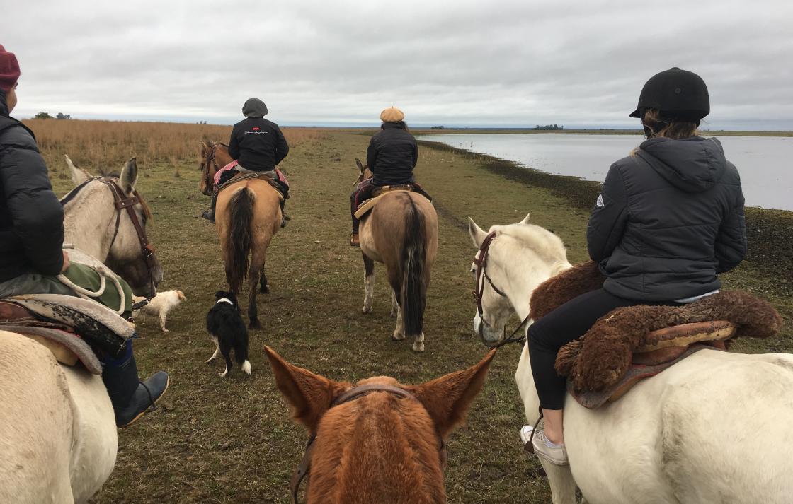 Photo of a group of friends horseriding