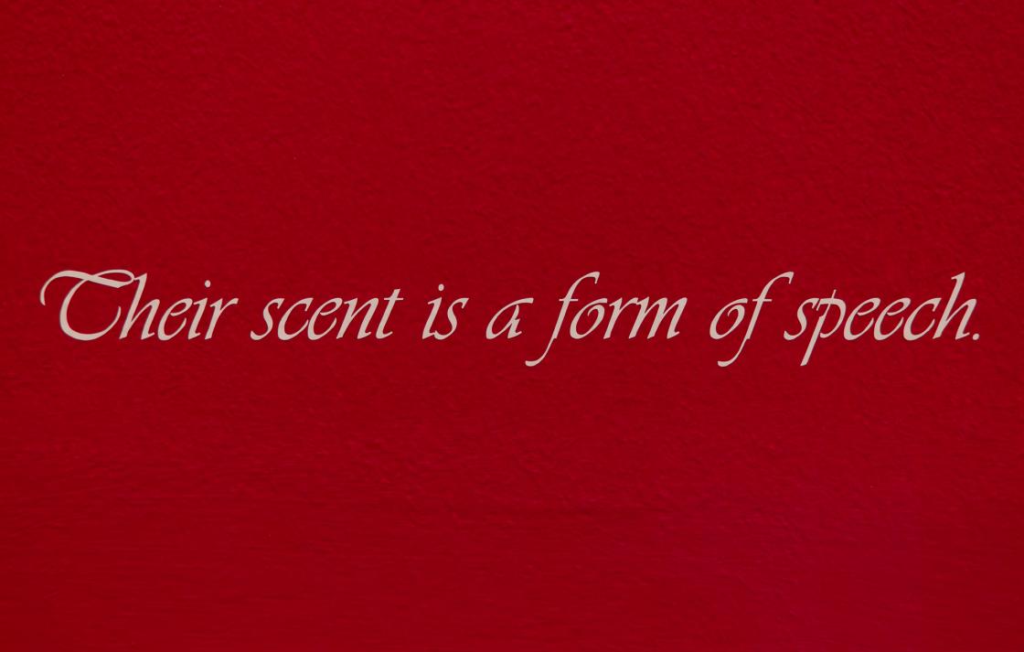 Pink cursive text on a red wall which reads "Their scent is a form of speech"