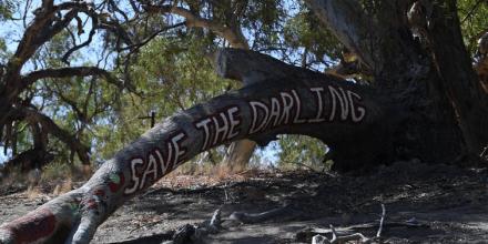 Save the Murray Darling