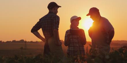 Two men and one woman having a discussion in a field at sunset