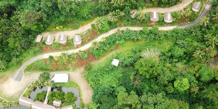 An aerial shot of a village surrounded by trees