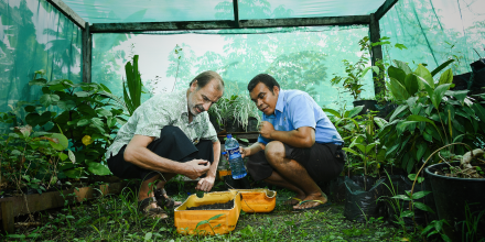 Two international development workers in a greenhouse.