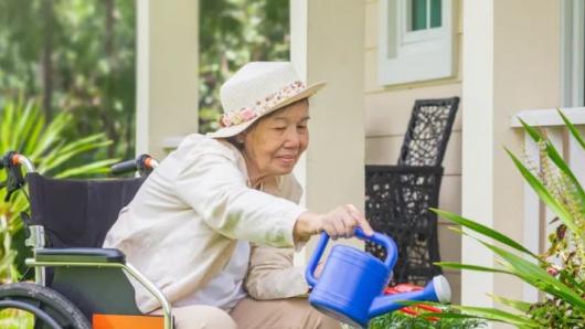 aged care garden