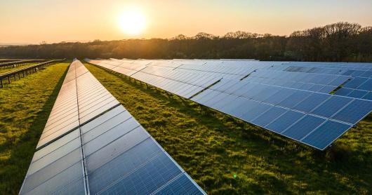 solar panels on a field, trees and sun in background