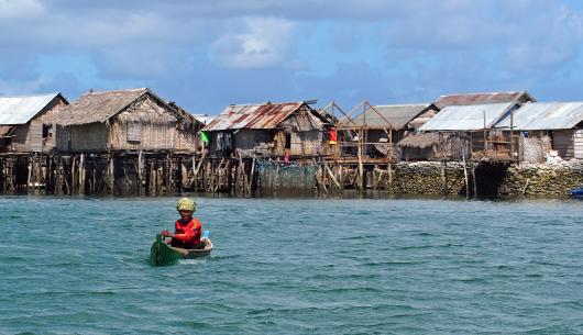 Reef community. Photo: Emma Camp