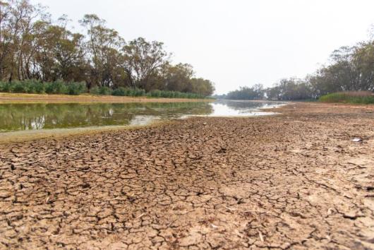 Bogan river at Nyngan. Image: Adobe Stock