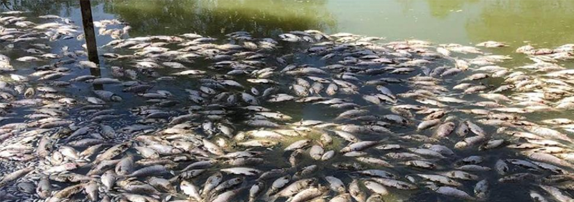 The mounting impact of climate change on the Murray-Darling ...