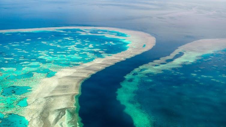 ‘Biodegradable’ plastic will soon be banned in Australia | University ...