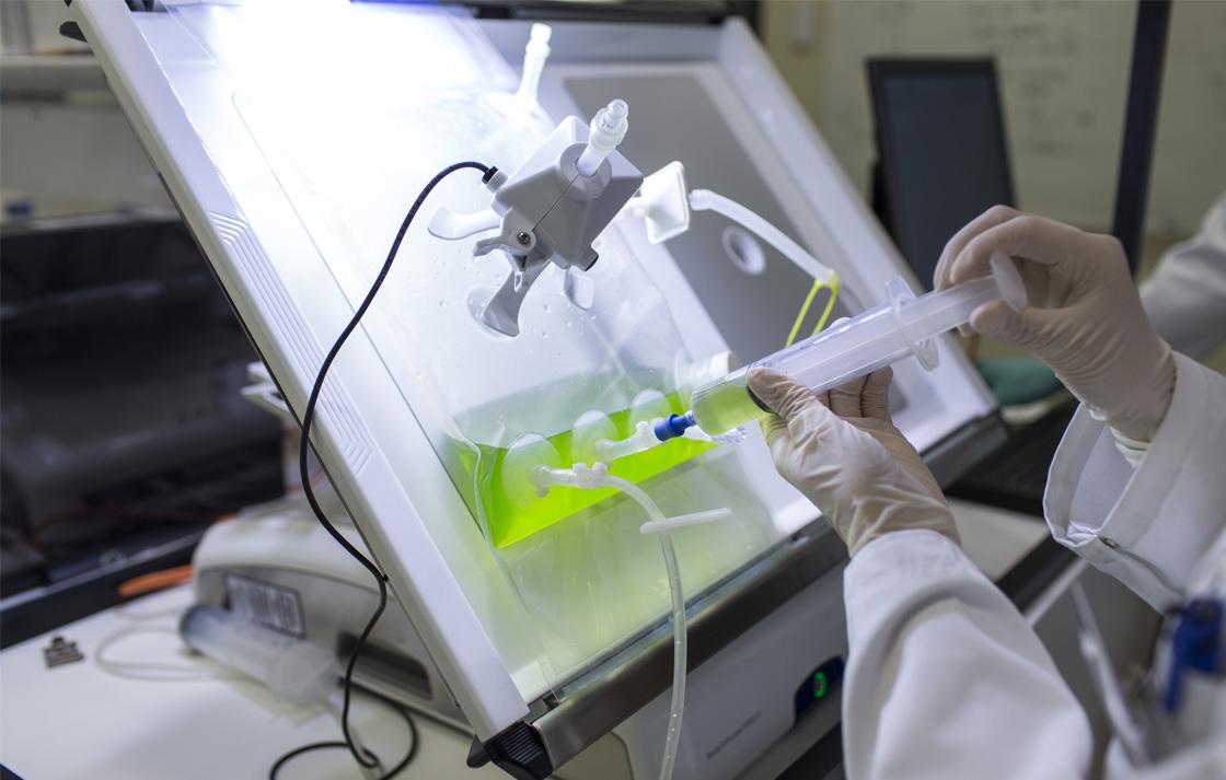 scientist injecting algae