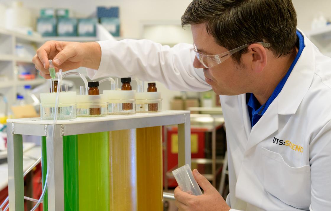 scientist inspecting algae solution