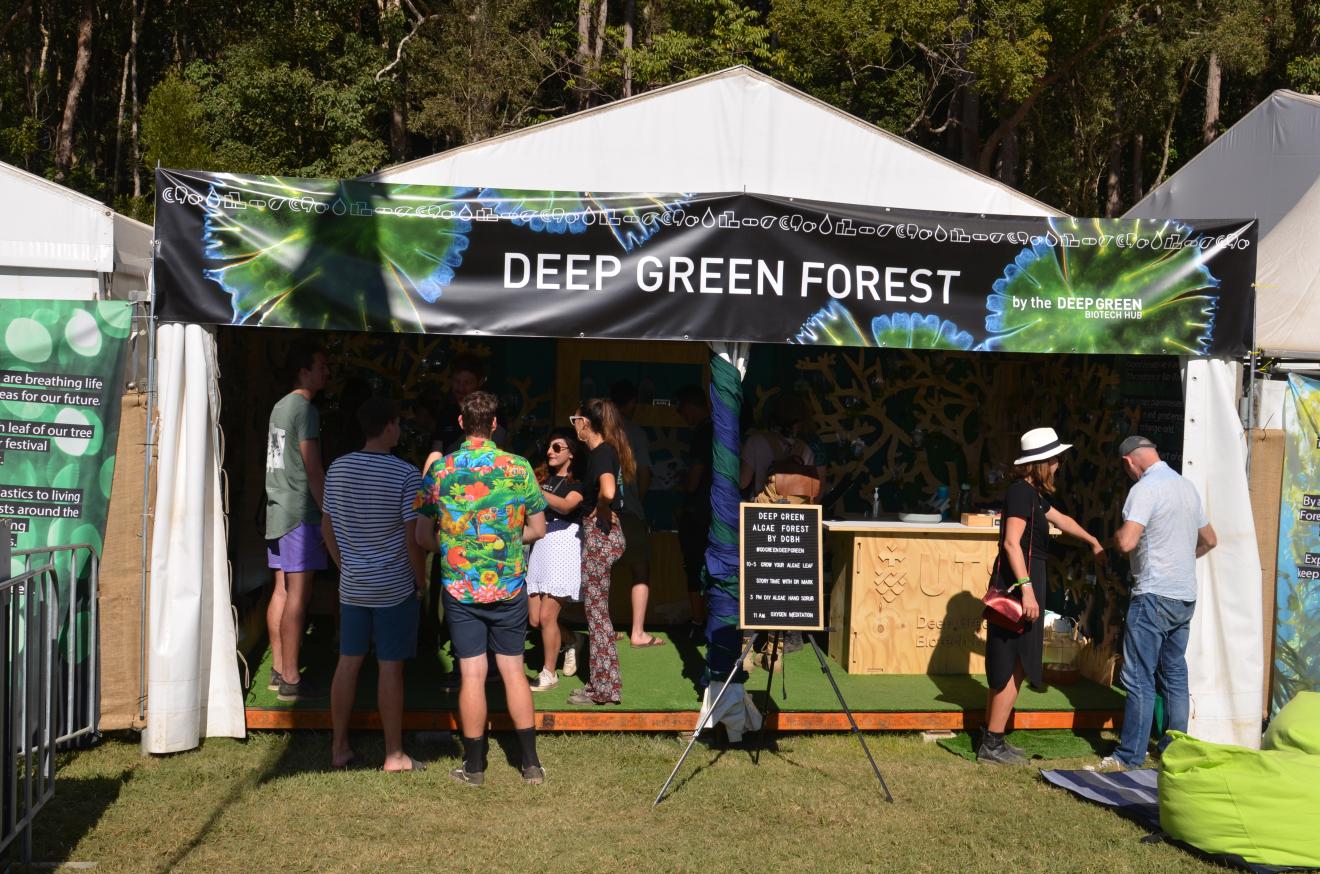 Deep Green Forest at Splendour in the grass