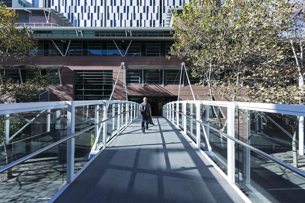 Harris St footbridge