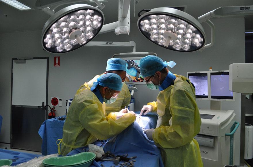 Surgeons in operating theater performing surgery