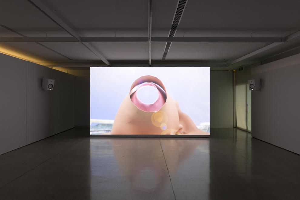 Baden Pailthorpe, Clanger, installation view, UTS Gallery, 2018. Photo: Jessica Maurer. 