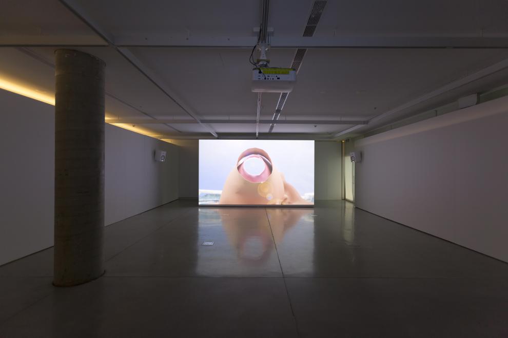 Baden Pailthorpe, Clanger, installation view, UTS Gallery, 2018. Photo: Jessica Maurer. 