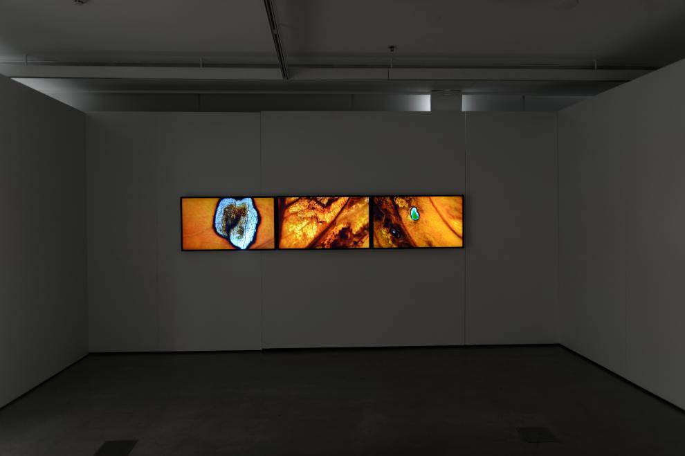 Installation view, Impact, 2017