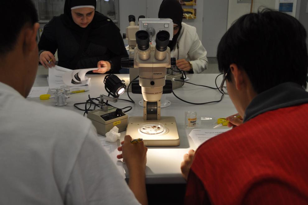 Students looking at books