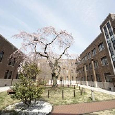 Courtyard with tree at Ochanomizu