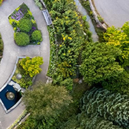 Birds' eye view of paths, roads and gardens.