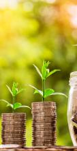 Piles of money with seedlings on top