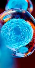 Embryonic stem cells and cellular therapy in red and blue tones