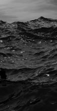 A black and white image of waves