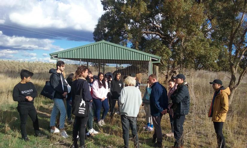 A group of UTS Interior Architecture students meet with Elder River Bank Franks in front of a caged tree in Dubbo