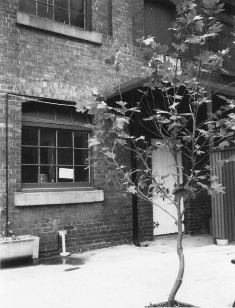Black and white photo of a door of a brick building and a tree