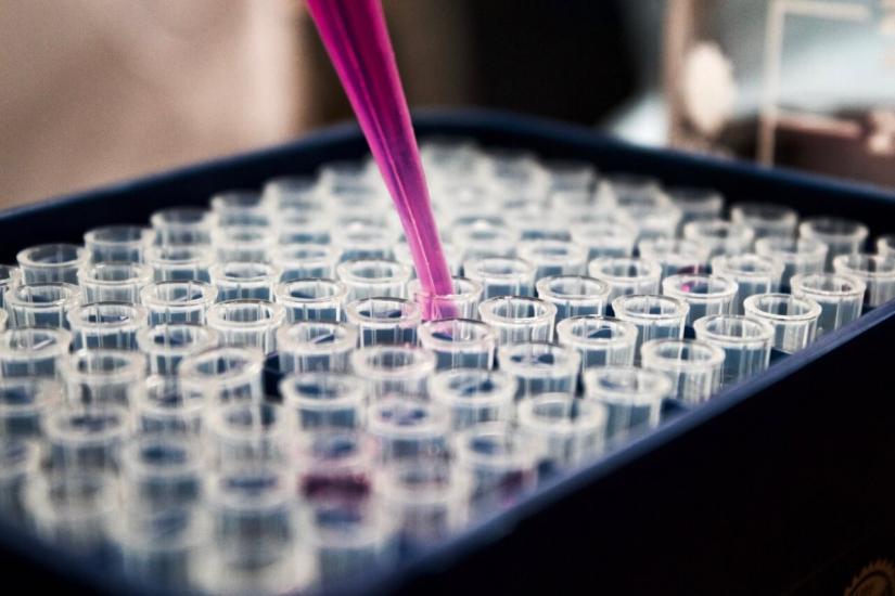 Pipetting pink liquid into test tubes to represent medical development
