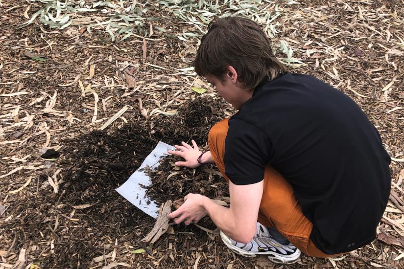 Student squatting on the earth, burying a piece of paper under leaves and dirt