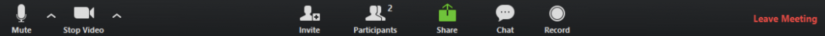 Zoom meeting toolbar showing participants controls 