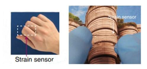 transparent, stretchable sensor worn on hand (left) and demonstrating stretch capabilities by pulling of the sensor (right)