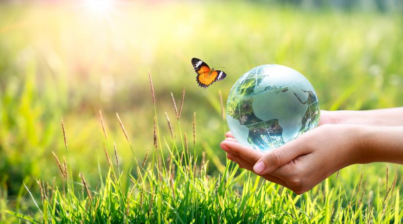 Hand holding world globe over grass with butterfly nearby