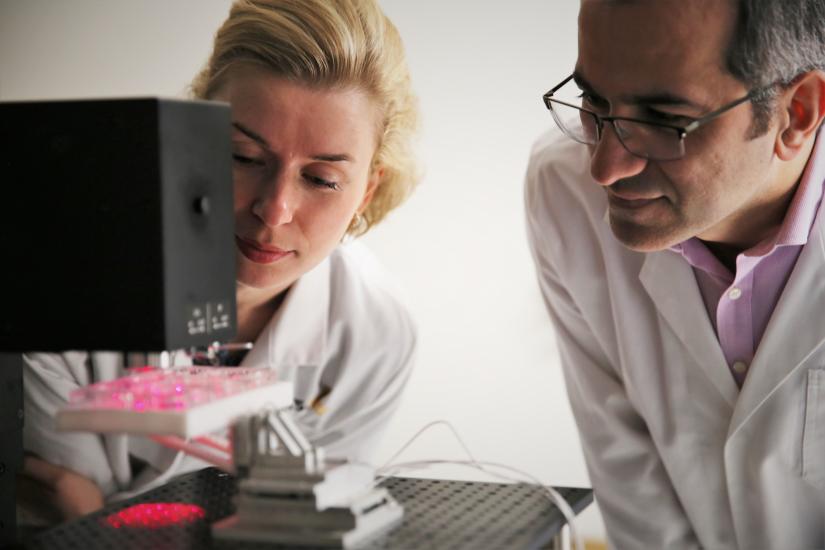 Dr Irina Kabakova and Dr Hadi Mahmodi in the UTS Brillouin Microscopy lab.