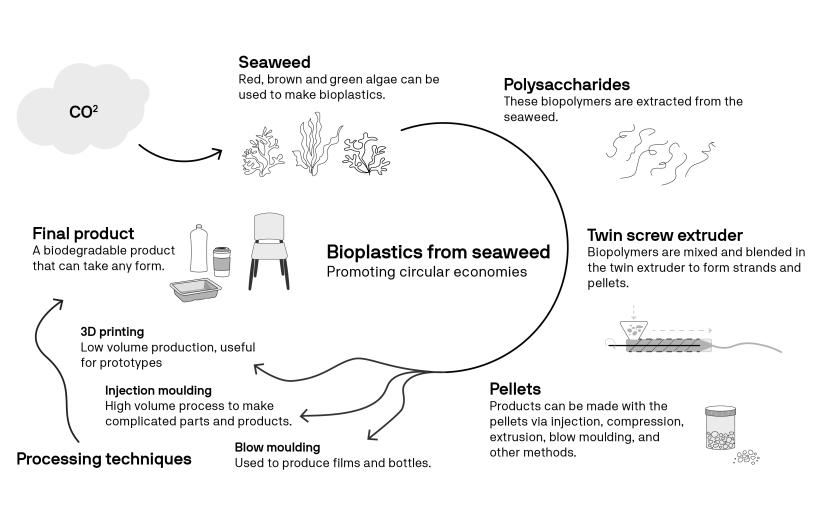 An diagram of the biopolymer process