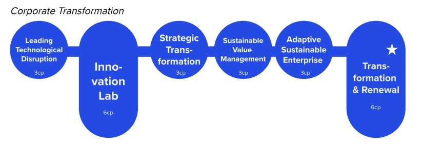 EMBA Corporate Transformation Stream