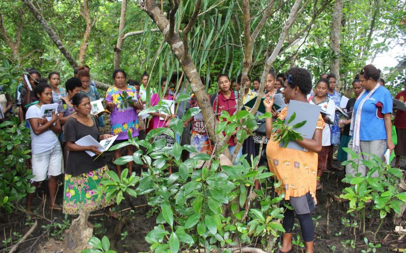Mangoro Market Meri Program in PNG. Mangoro Market Meri Mangrove Scientist, Mazzella Maniwavie (pregnant) leading the local women in the training on Mangrove Ecology in Milne Bay Province