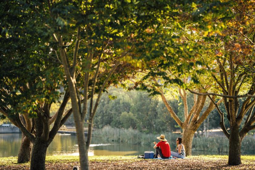 Two people sitting in a park under some trees.