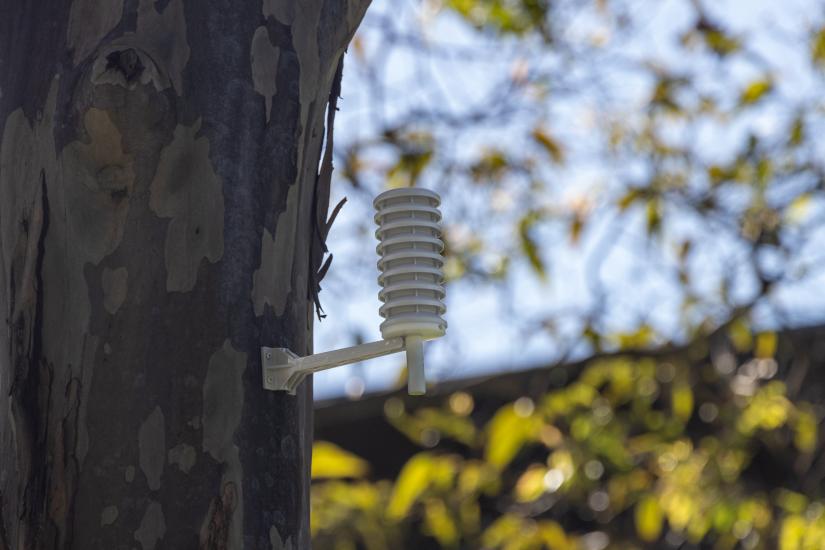 Air quality sensor installed on tree