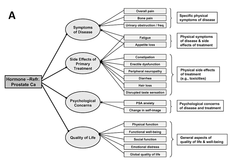 Figure 1 (A) Conceptual model of relevant outcomes issues from hormone-refractory prostate cancer (HRPC) 