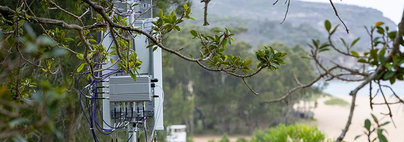 The antenna for a pilot rapidly deployable large-area WiFi network during a public test in the Royal National Park 