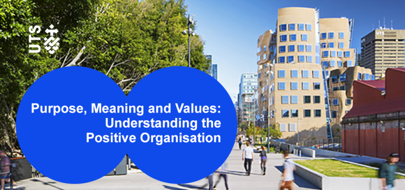Purpose, Meaning and Values: Understanding the Positive Organisation 
